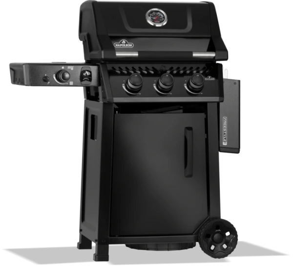 FREESTYLE 365 FP365DSIBPK-1-CZ 4