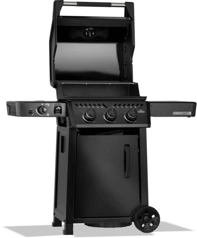 FREESTYLE 365 FP365DSIBPK-1-CZ 3