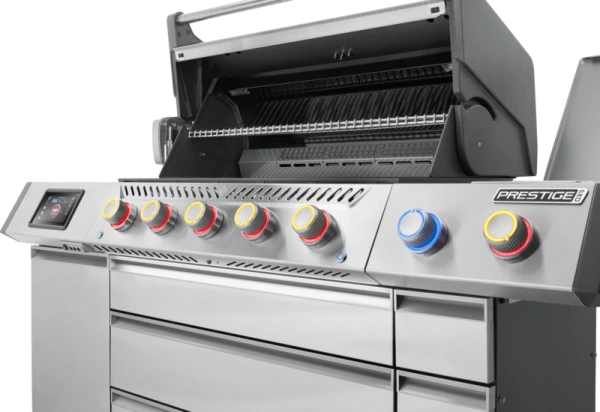 Prestige PRO665 wifi - nerez 9